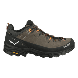 Salewa Alp Trainer 2 Gtx Heren Onyx-Black